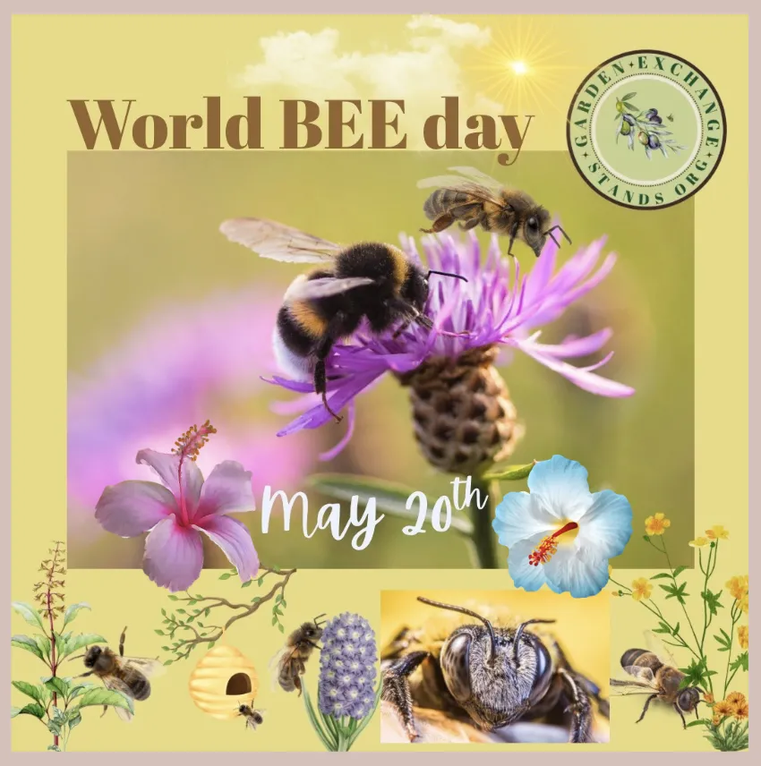 World BEE day 2027